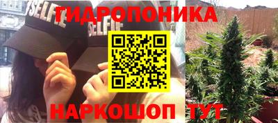 гидра Чапаевск