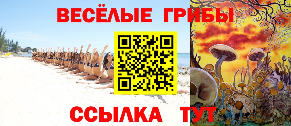 Благодарный  Галлюциногенные грибы MAGIC MUSHROOMS  Вход с VPN 