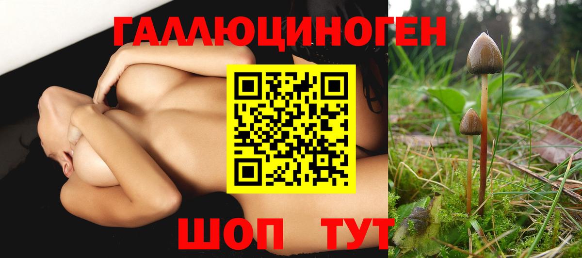 Псилоцибиновые грибы мицелий Благодарный